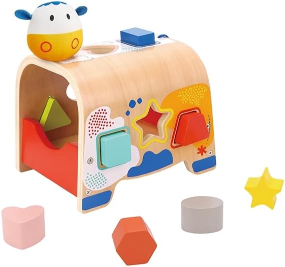 A B Gee TookyToy Shape Sorter Activity Toy 9-Piece Set